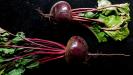 roasted red beet & chickpea & goat cheese hummus