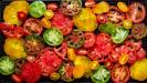 «caprese» mozzarella & tomato salad with croutons