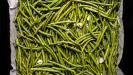 un meilleur «fasolakia lathera» ragoût grec de haricots verts fins