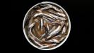 beer-marinated & fried fresh anchovies