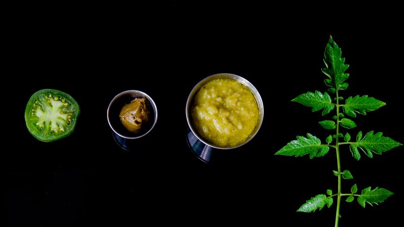 green tomato & tomato leaf : purée, sauce and paste